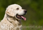 07 Balu